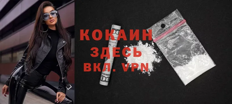 COCAIN Fish Scale Калязин